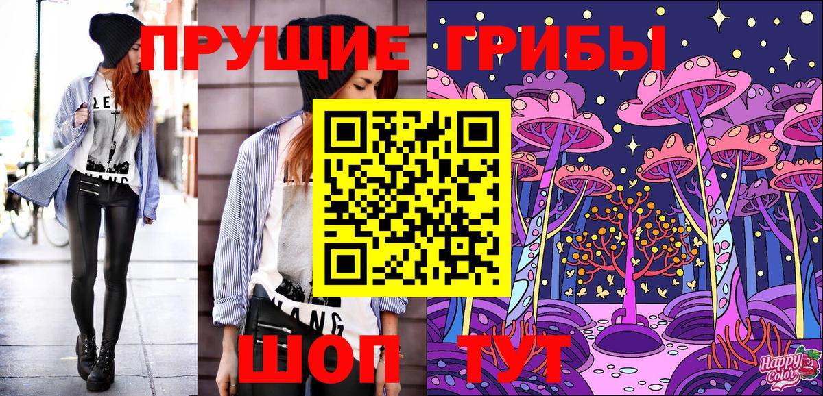 Псилоцибиновые грибы Psilocybine cubensis Егорьевск